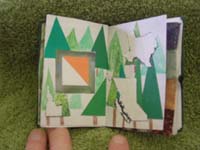 Pin Book - Orienteering 2