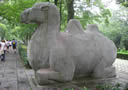 Camel Statue