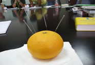 Acupuncture Orange